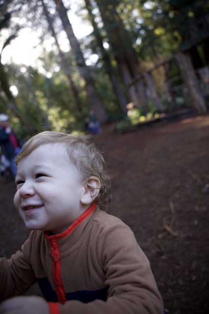 Woodland Wonder