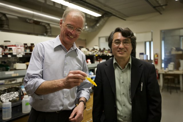 Nanomachine Testing in UCLA Lab