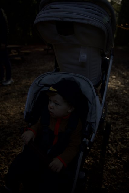 A Day at Thistlewyck Gardens