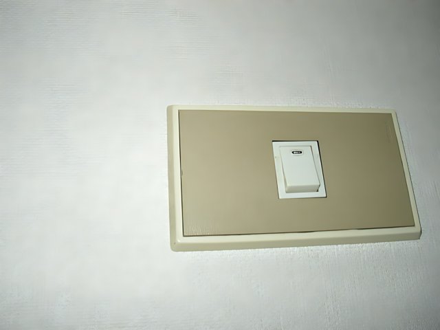 White Wall Switch at Kyoto City Hall