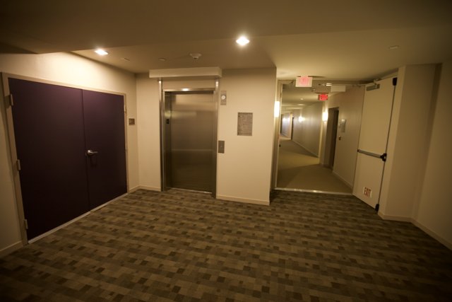 The Purple Carpet Corridor