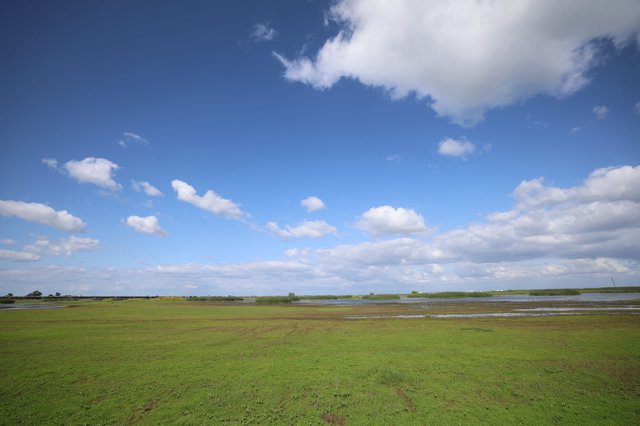 Expansive Wetlands Under Wide Blue Skies