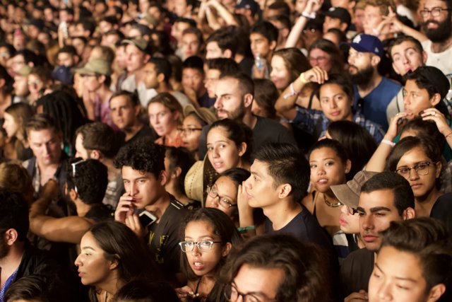 A Sea of Faces: The Concert Crowd