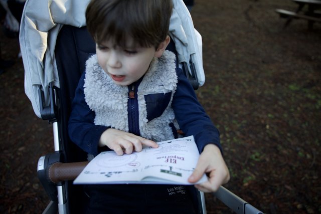 A Curious Mind at Thistlewyck