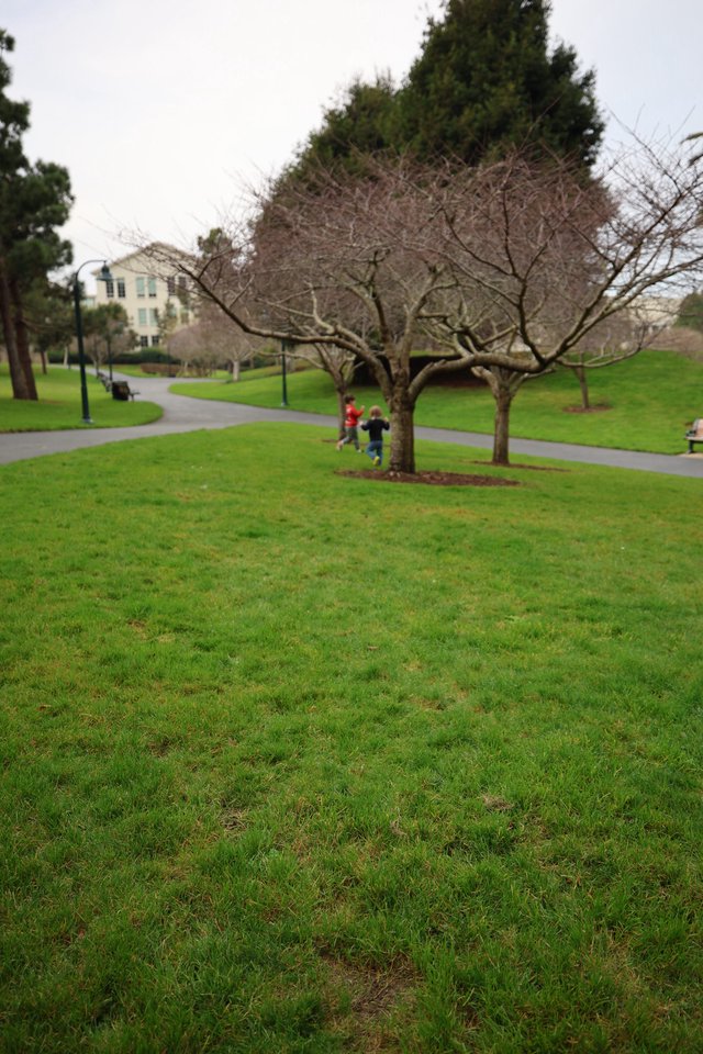Children Playing in Park on Overcast Winter Day