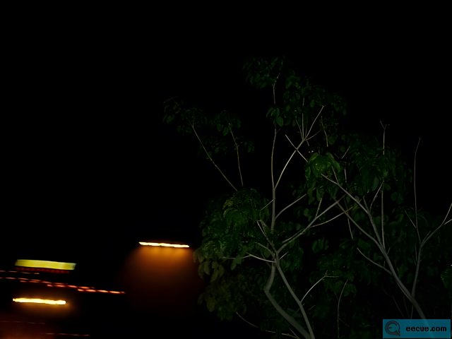 Glowing Tree at Night