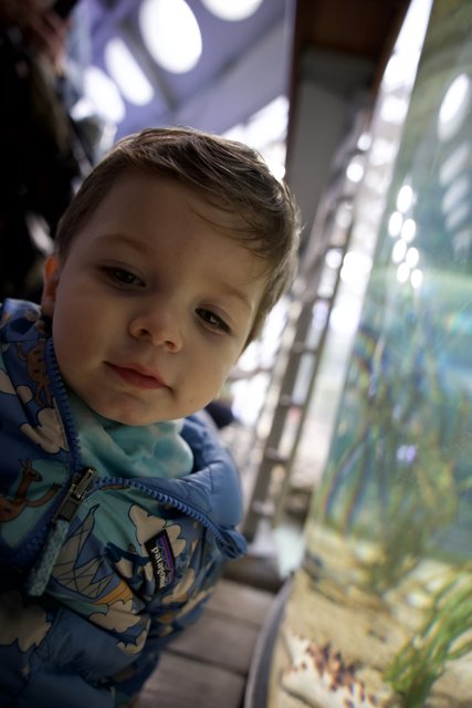 Enchanted by the Deep Blue - Wesley's Aquarium Adventure