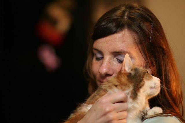 Tender Moment Between Woman and Ginger Cat