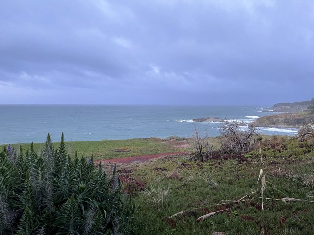 A Scenic View of the Ocean and Grasslands