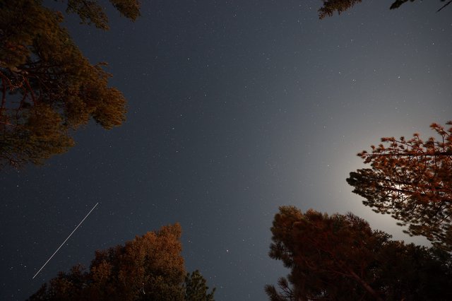 Meteor Streak Over Lassen's Moonlit Forest Canopy