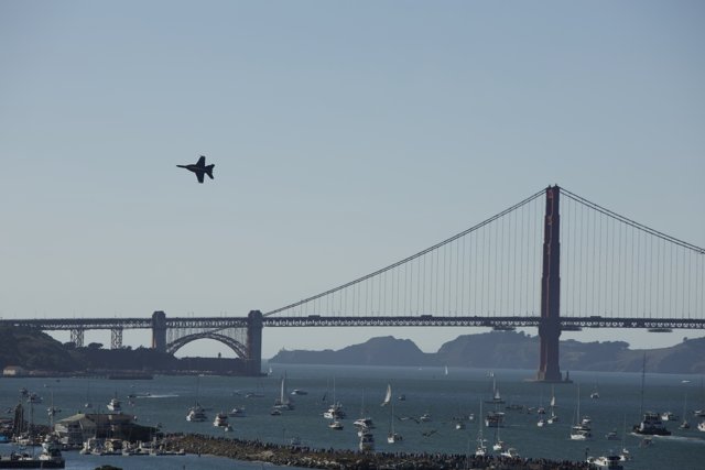 Steel Wings Over San Francisco