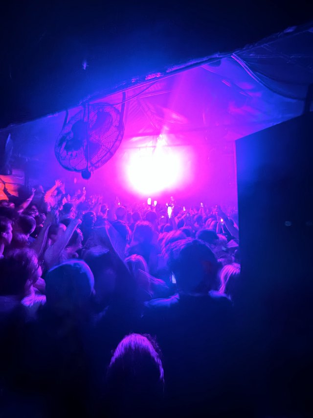 Immersive Concert Experience with Purple and Blue Stage Lighting