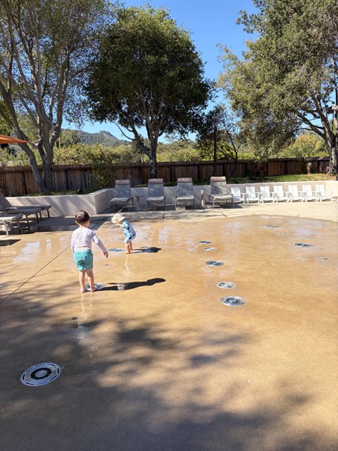 Sunlit Splashes