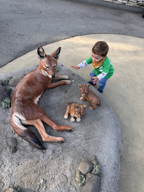 Curiosity at San Francisco Zoo