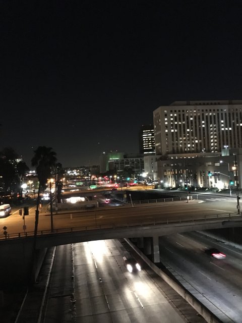 Nighttime Traffic on the Los Angeles Freeway