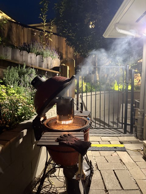 Evening Grilling Vibes