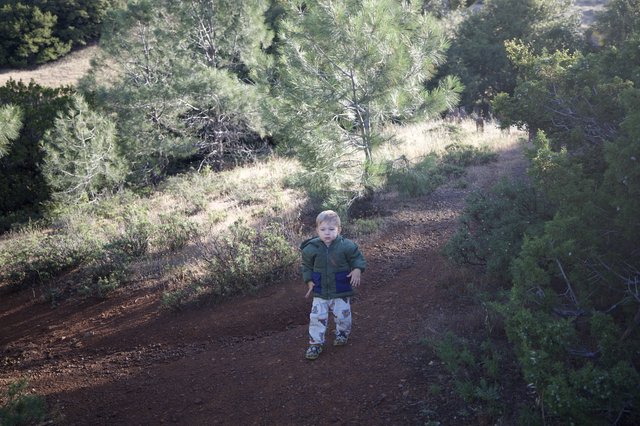 Tiny Explorer on a Mountain Trail Adventure