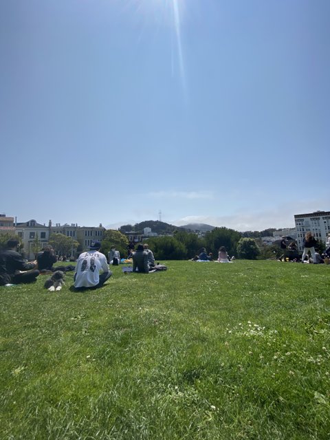 Relaxing Day in Alamo Square Park