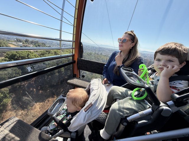 High Above the Oakland Zoo
