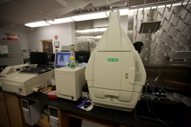 Microscope in a Caltech Laboratory