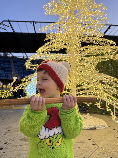 Winter Wonder at PayPal Park