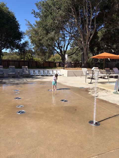 Splash of Joy in the Sun