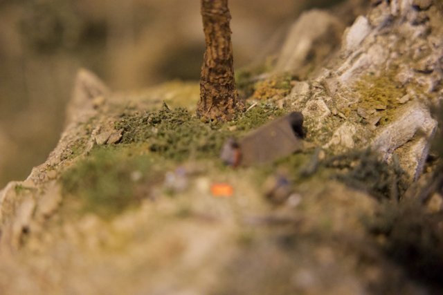 Miniature Wilderness Exploration