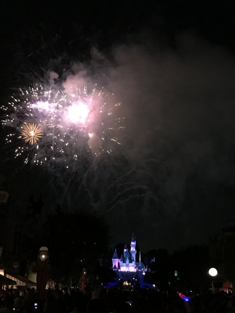 Magical Nighttime Spectacle at Disneyland