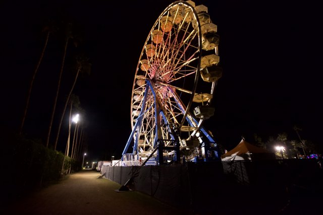 Ferris Wheel Fun Under the Night Sky