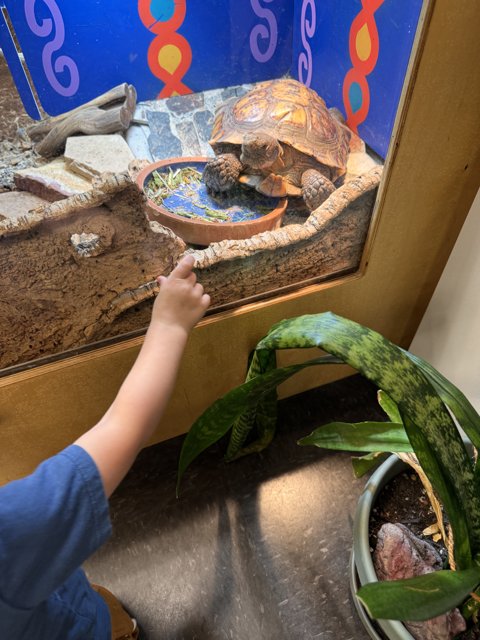 Curious Encounter at the Science Hall