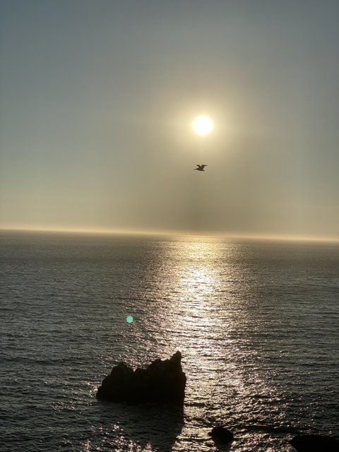 Sunset Flight over the Ocean