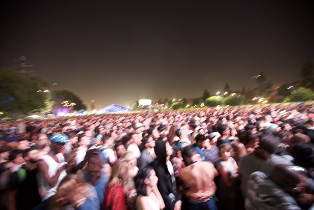 Nighttime Crowd at Music Festival
