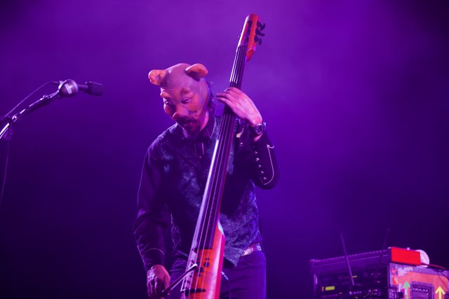Bear Bassist Takes Over Coachella Stage