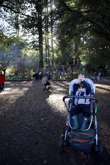 A Day in Thistlewyck Grove
