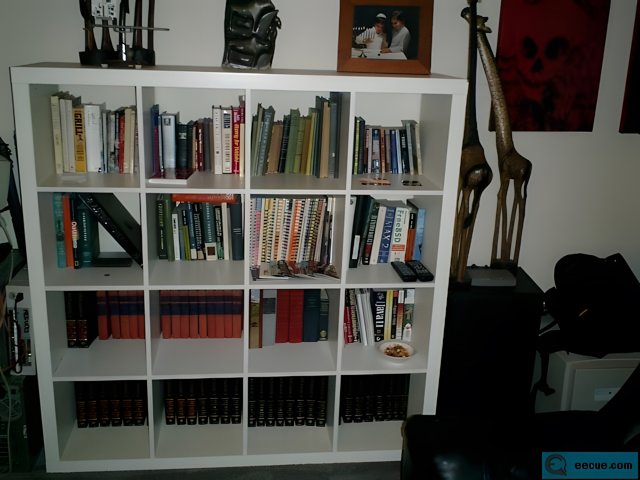 Giraffe on the Bookshelf