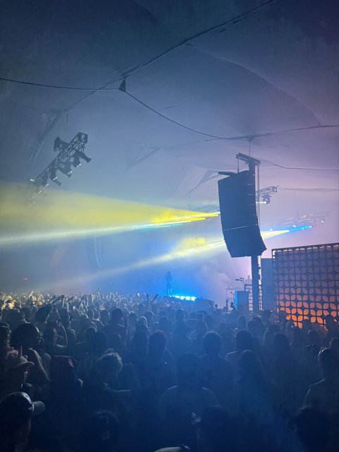 Electric Vibes in Indio