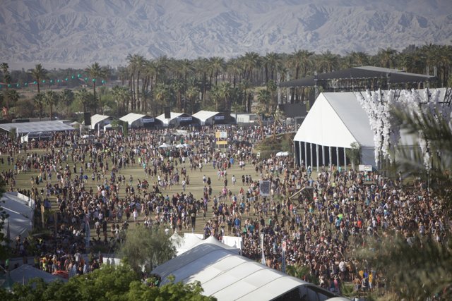 Coachella 2014: The Massive Concert Crowd