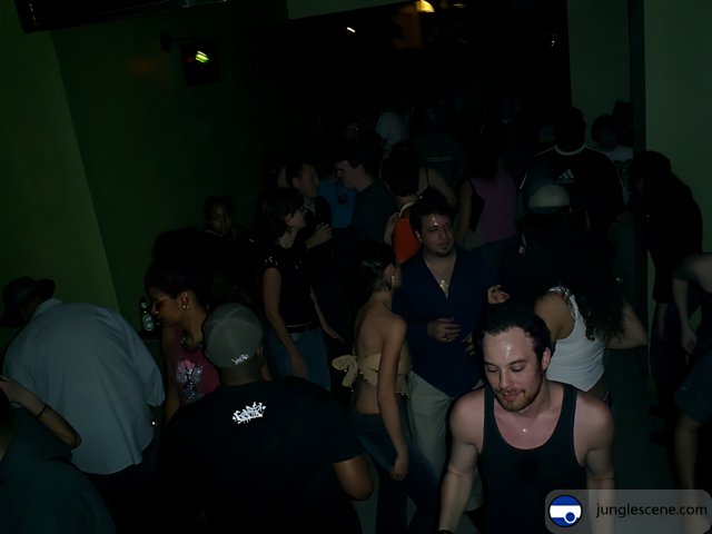 Nightclub Vibes