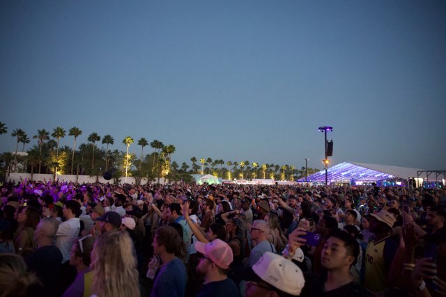Purple Twilight Vibes at Coachella 2024