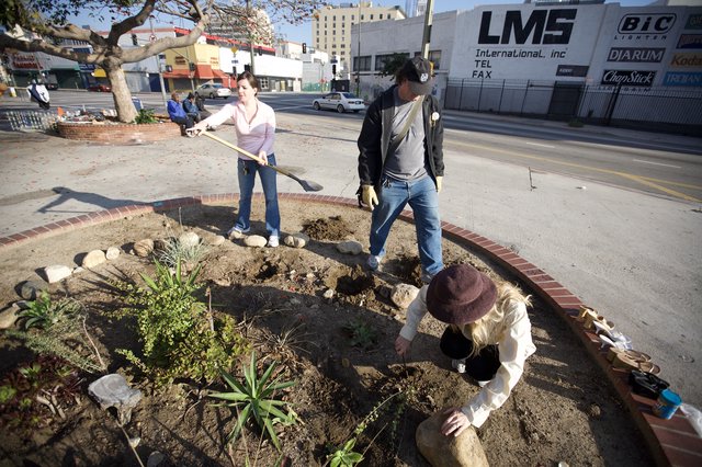 Community Volunteers Transform Urban Median Into Garden