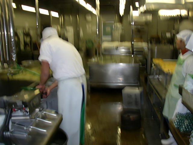 The Dishwasher in the Factory Kitchen