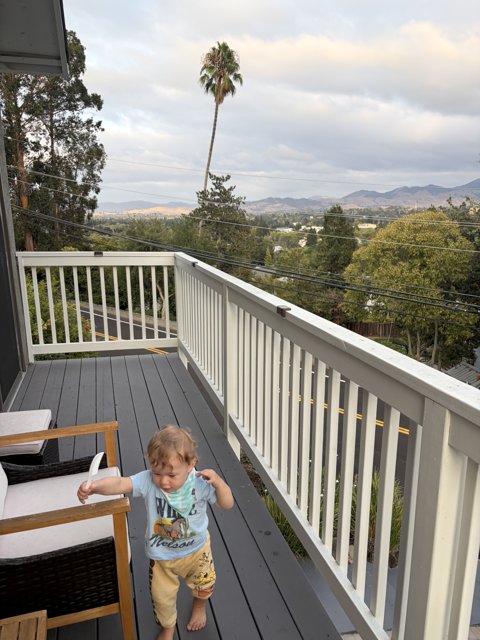 Balcony Adventures