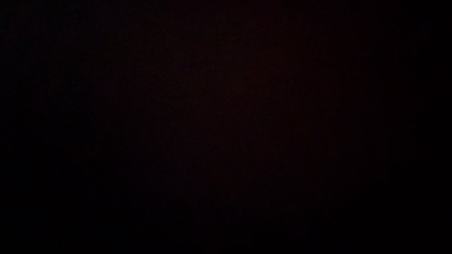 Silent Shadows