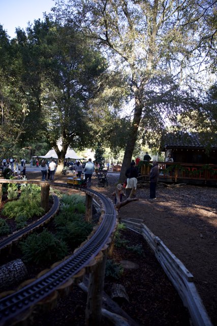 A Day at Thistlewyck Gardens