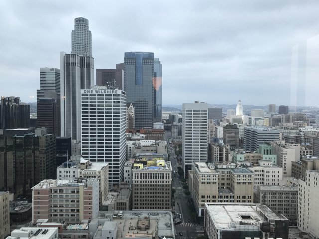 Aerial View of Los Angeles Metropolis