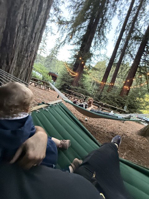 Hammock Adventures in the Redwood Grove