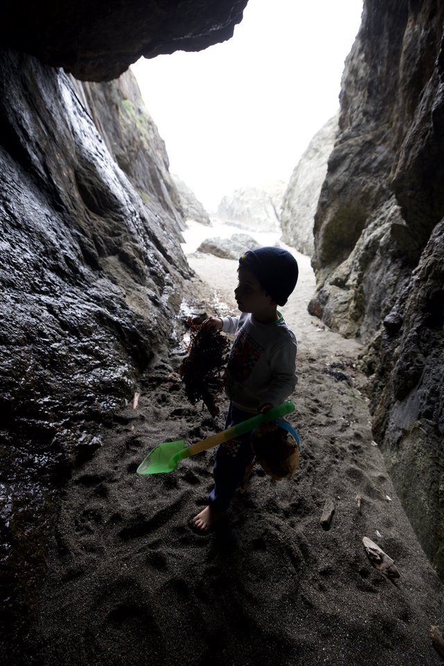 Young Explorer in Sea Cave with Seaweed Treasure