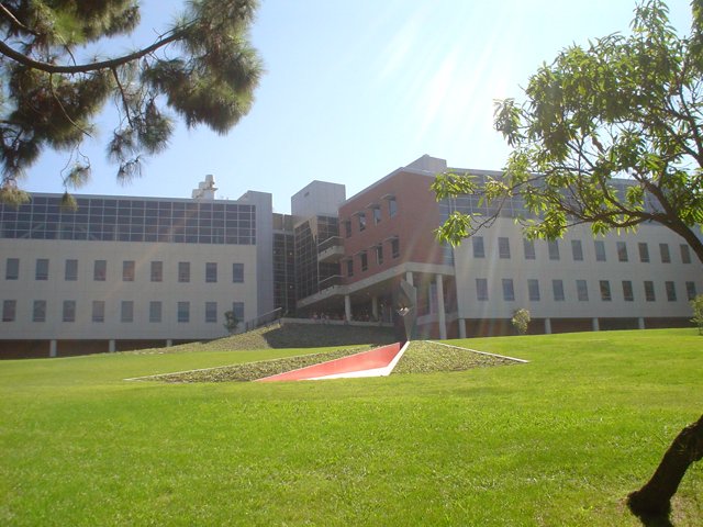 Serene Campus Landscape