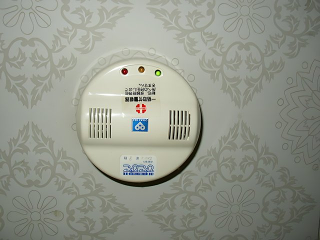 Smoke Detector on Bree's House Wall
