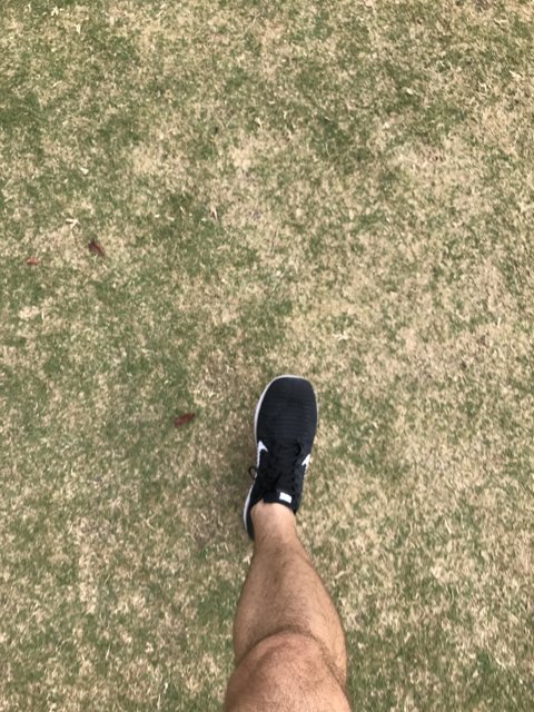 Black Shoes on Green Grass